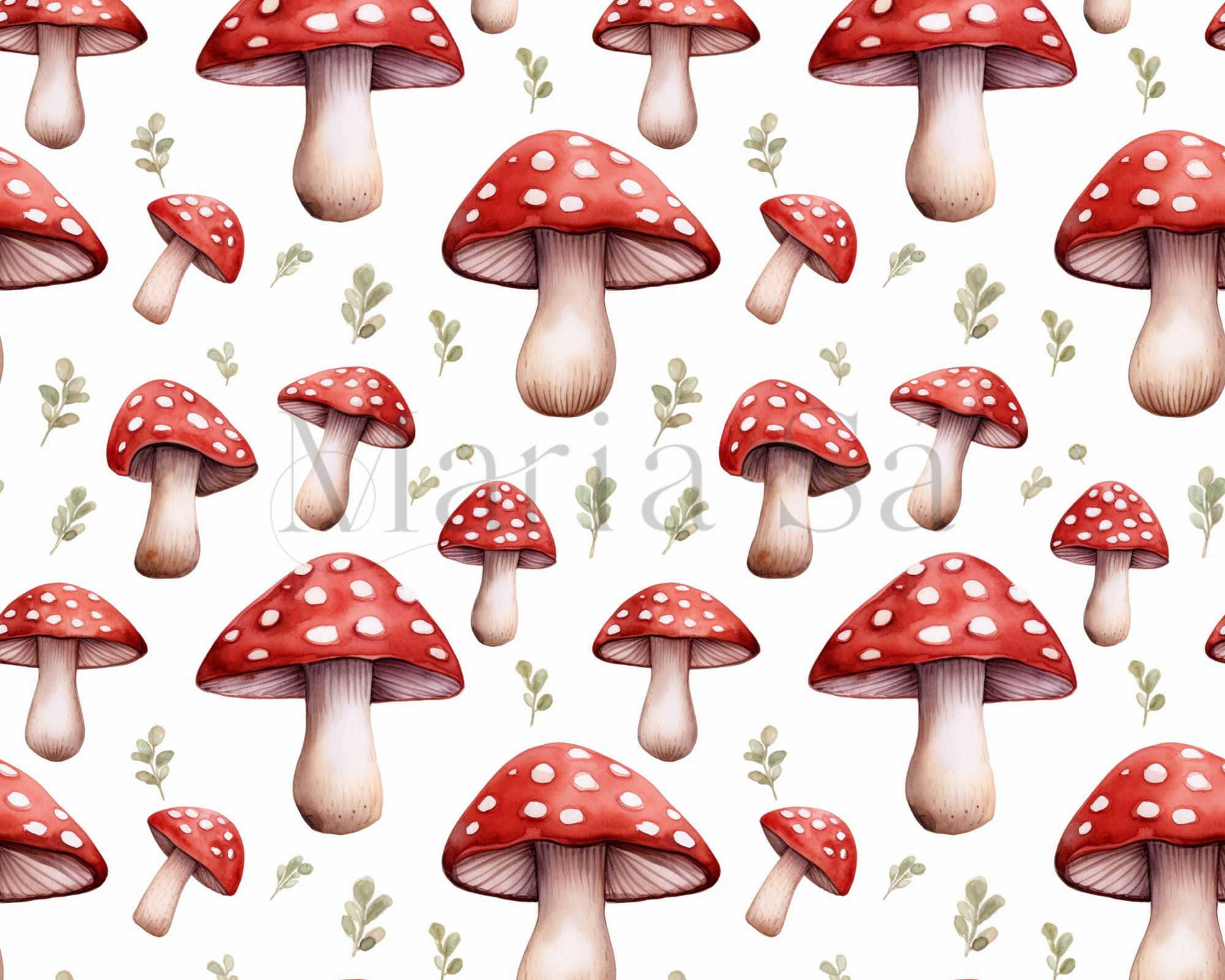 Colecção Cogumelos 2400099