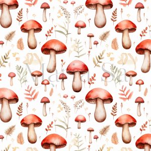 Colecção Cogumelos 2400101