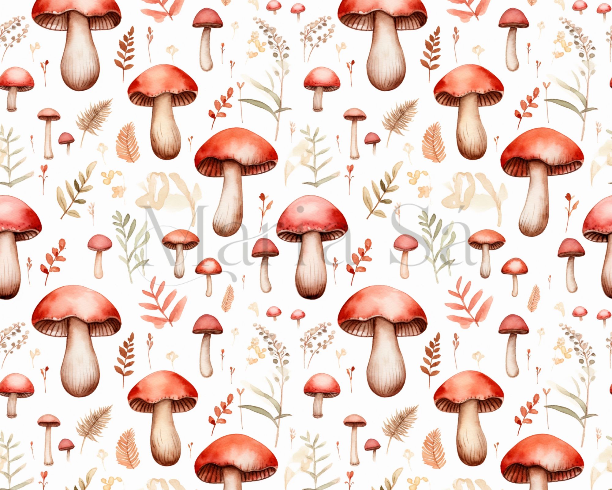 Colecção Cogumelos 2400101