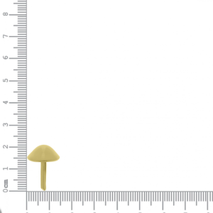 Alternative view of Pé de Bolsa Ouro 21mm