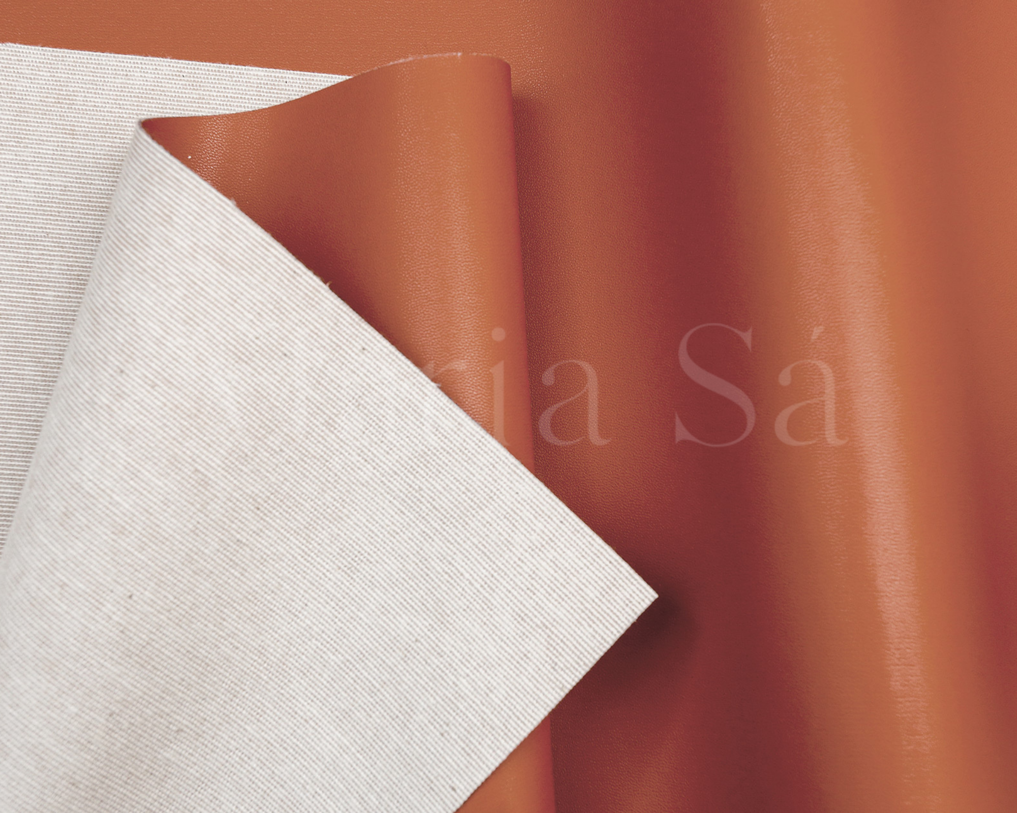 Birkie Damasco - Image 2